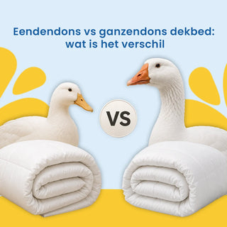 Eendendons vs ganzendons dekbed: wat is het verschil?