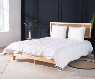 Thermo Balance Series